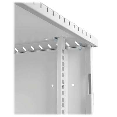 SZAFA RACK WISZĄCA R10-6U/300-GG